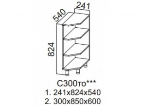 С300то Стол-рабочий 300 (торцевой открытый) в Салехарде - salekhard.magazin-mebel74.ru | фото