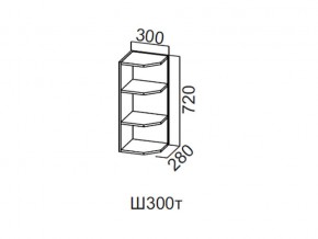 Ш300т/720 Шкаф навесной 300/720 (торцевой) в Салехарде - salekhard.magazin-mebel74.ru | фото