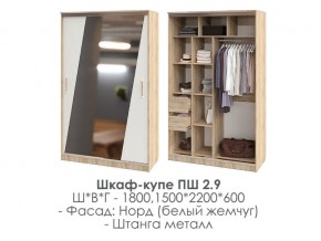 шкаф-купе ПШ-2.9 1500 Норд Белый жемчуг 1500 в Салехарде - salekhard.magazin-mebel74.ru | фото