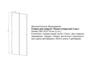 Створки для Пенал открытый в Салехарде - salekhard.magazin-mebel74.ru | фото